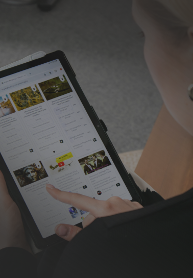 social network platform by Ana Softech